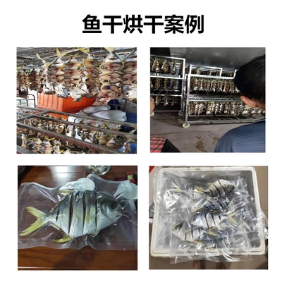 水產(chǎn)品烘干機(jī) 高效加工魚(yú)干與蝦干的現(xiàn)代化解決方案