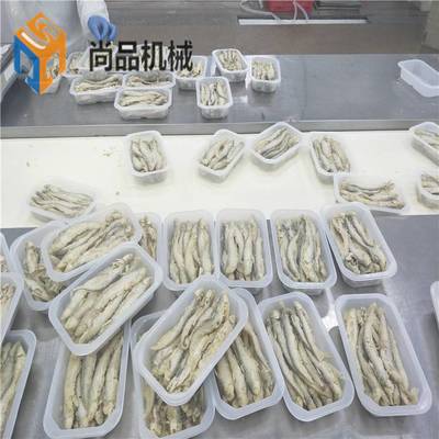 海產(chǎn)品加工高效解決方案 巴沙魚(yú)滾筒上粉機(jī)、帶魚(yú)段連續(xù)式油炸機(jī)及小刀魚(yú)裹粉油炸成套設(shè)備