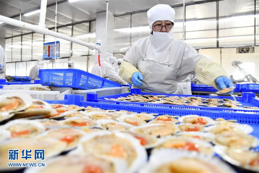 積極發(fā)展海洋食品加工產(chǎn)業(yè)，構(gòu)建全產(chǎn)業(yè)鏈協(xié)同發(fā)展新格局